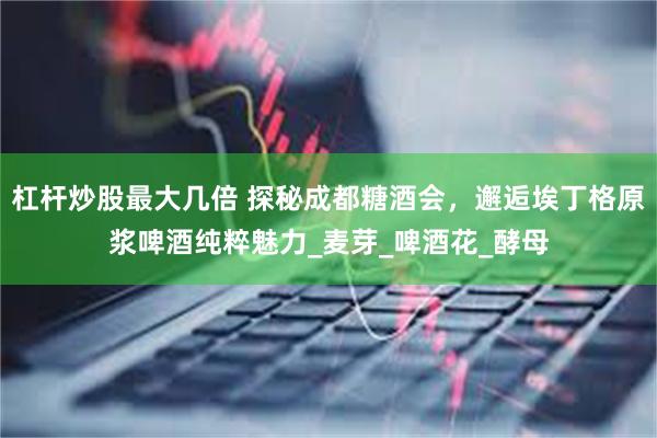 杠杆炒股最大几倍 探秘成都糖酒会，邂逅埃丁格原浆啤酒纯粹魅力_麦芽_啤酒花_酵母