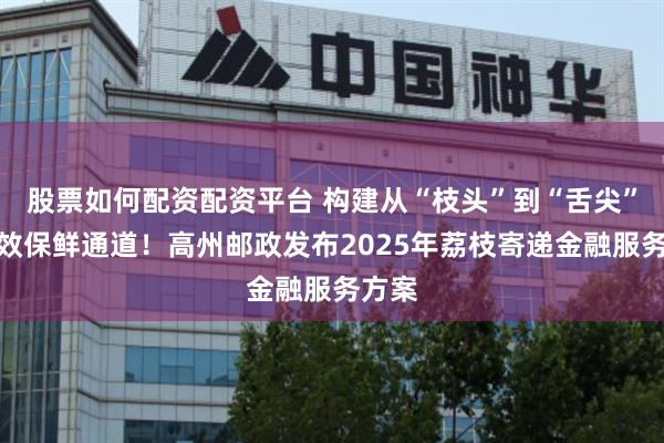 股票如何配资配资平台 构建从“枝头”到“舌尖”的高效保鲜通道！高州邮政发布2025年荔枝寄递金融服务方案