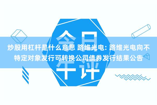 炒股用杠杆是什么意思 路维光电: 路维光电向不特定对象发行可转换公司债券发行结果公告