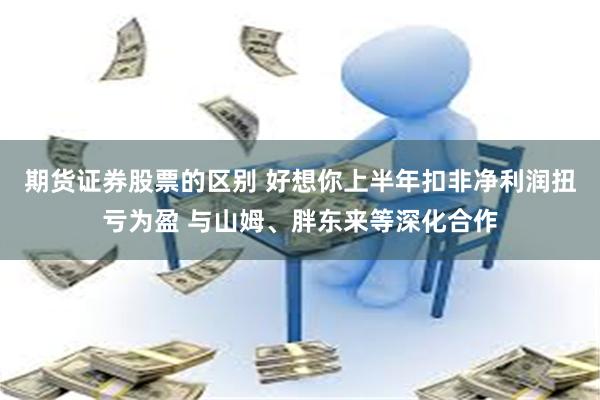 期货证券股票的区别 好想你上半年扣非净利润扭亏为盈 与山姆、胖东来等深化合作