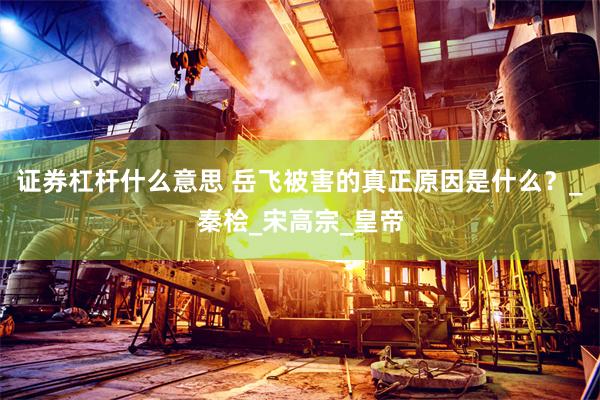证券杠杆什么意思 岳飞被害的真正原因是什么？_秦桧_宋高宗_皇帝