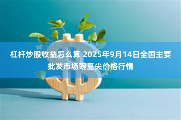 杠杆炒股收益怎么算 2025年9月14日全国主要批发市场豌豆尖价格行情
