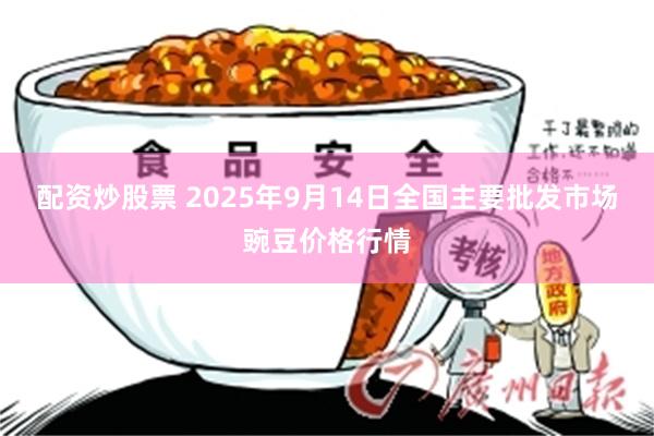 配资炒股票 2025年9月14日全国主要批发市场豌豆价格行情